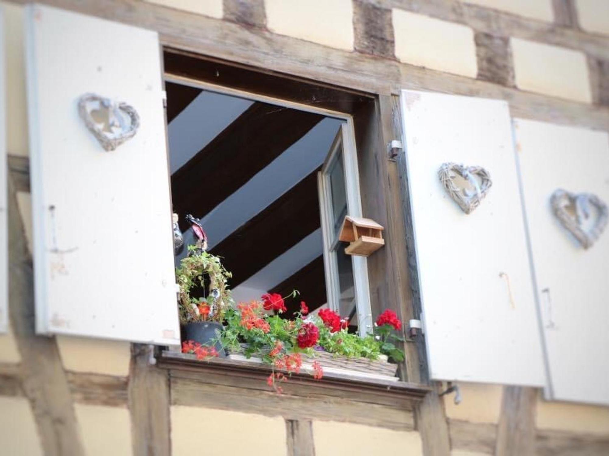 Charmant Appart Avec Garage Et Terrasse Au Coeur De Colmar, Pres De La Route Des Vins D'Alsace - Fr-1-722-6 Luaran gambar