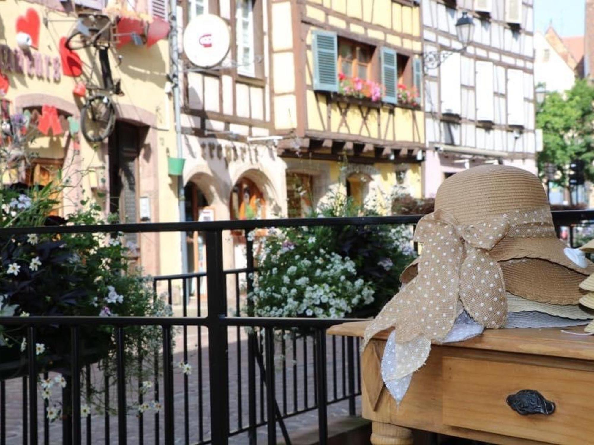 Charmant Appart Avec Garage Et Terrasse Au Coeur De Colmar, Pres De La Route Des Vins D'Alsace - Fr-1-722-6 Luaran gambar