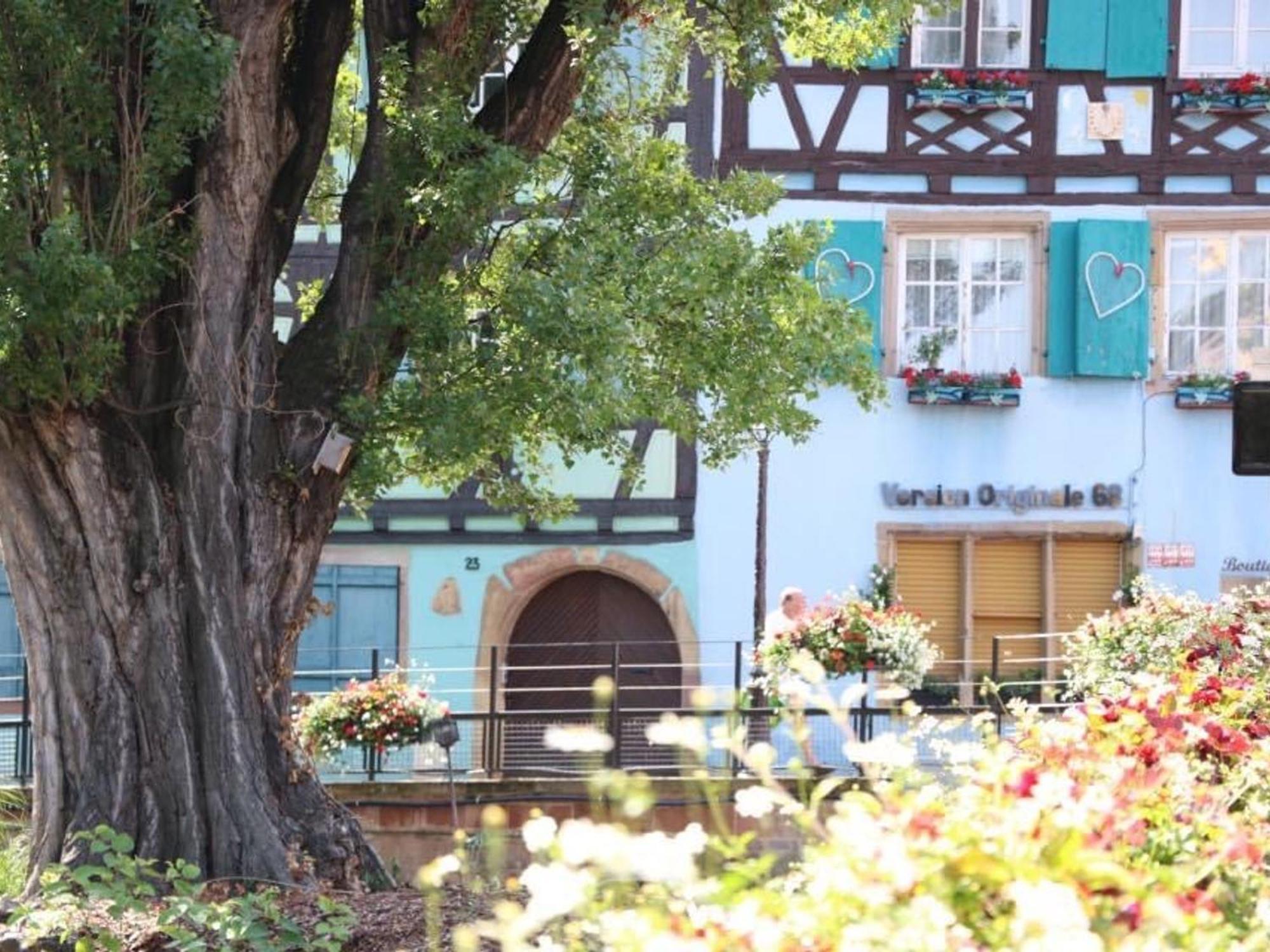Charmant Appart Avec Garage Et Terrasse Au Coeur De Colmar, Pres De La Route Des Vins D'Alsace - Fr-1-722-6 Luaran gambar